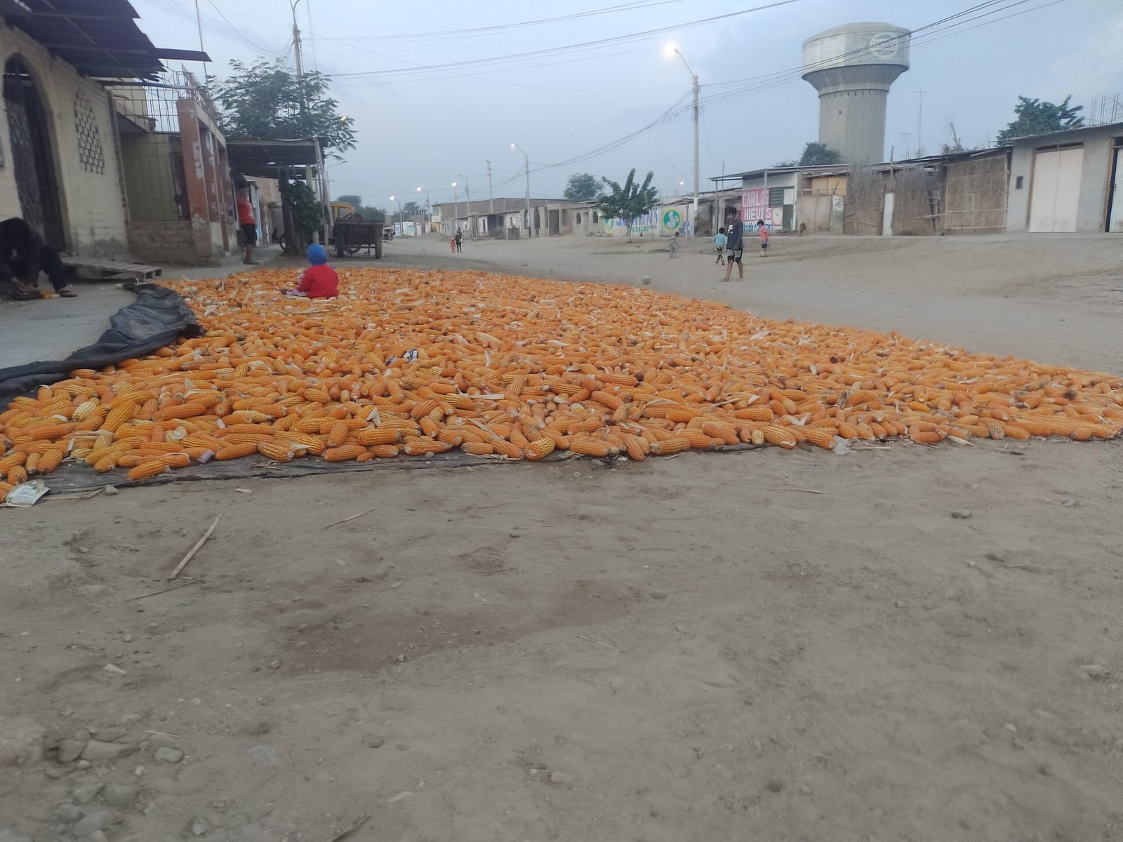 El Oro de Monte Castillo