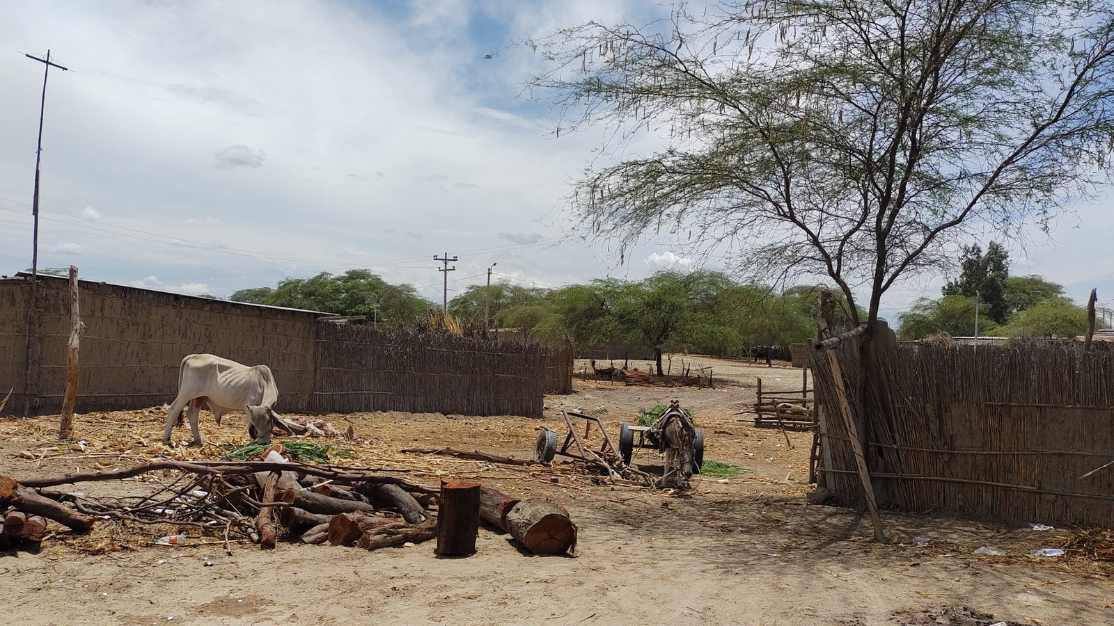 Catacaos autentico pueblo Tallan